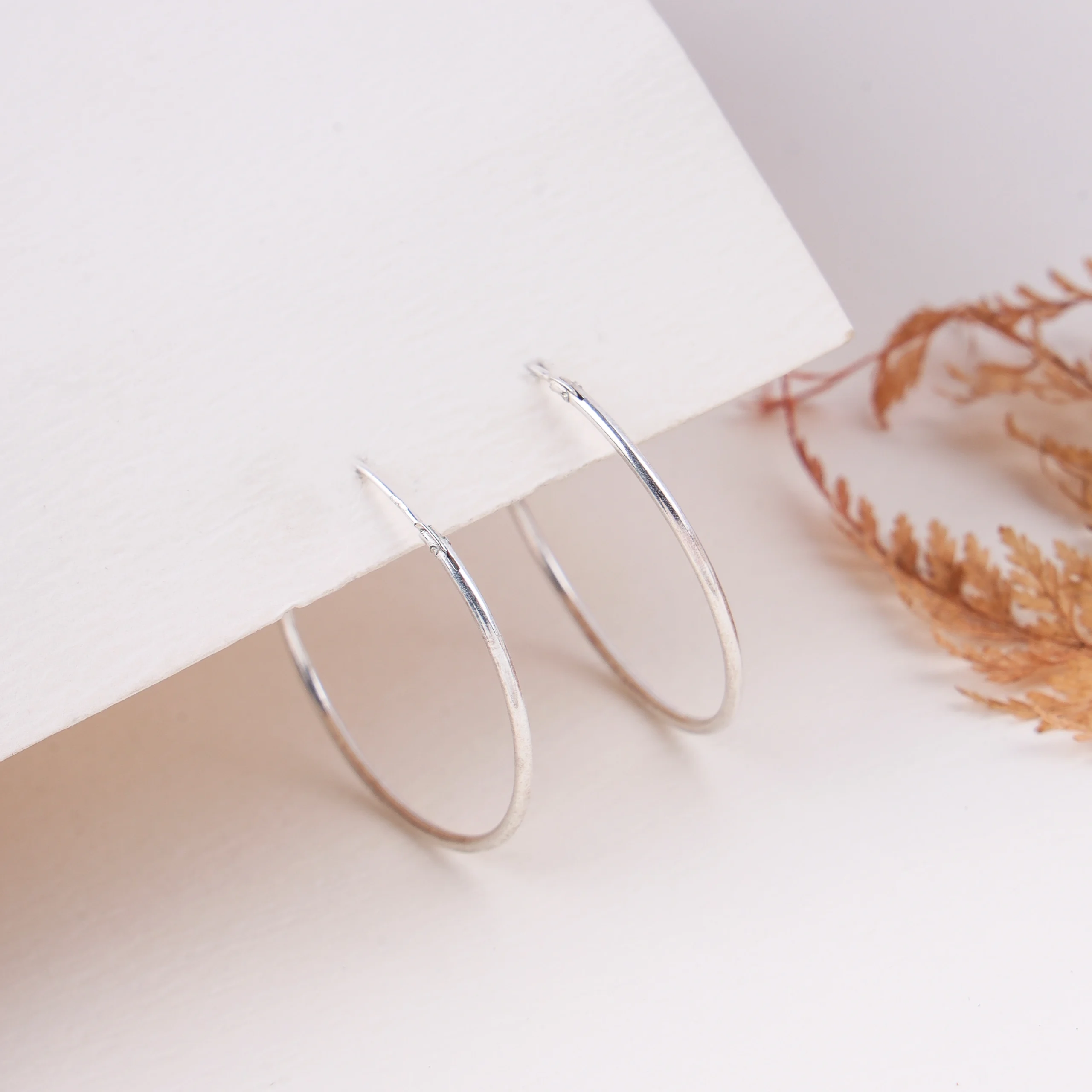 Sleek And Simple Hoops (Silver)